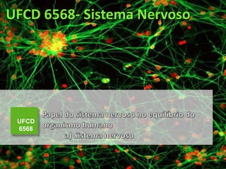 UFCD 6568- Sistema Nervoso
UFCD
6568
 