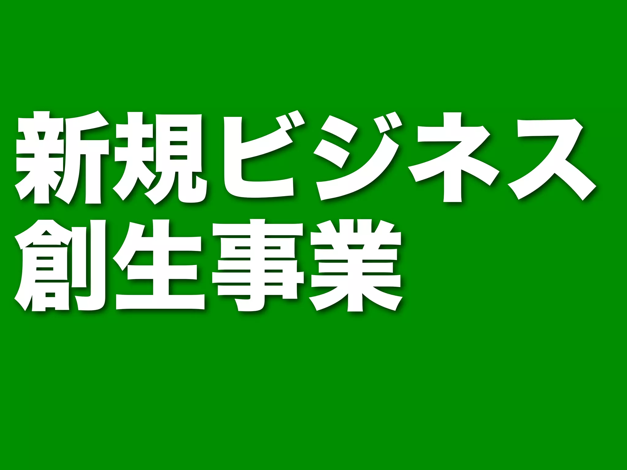 新規ビジネス 
創生事業 
 