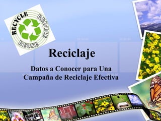 Reciclaje
Datos a Conocer para Una
Campaña de Reciclaje Efectiva
 