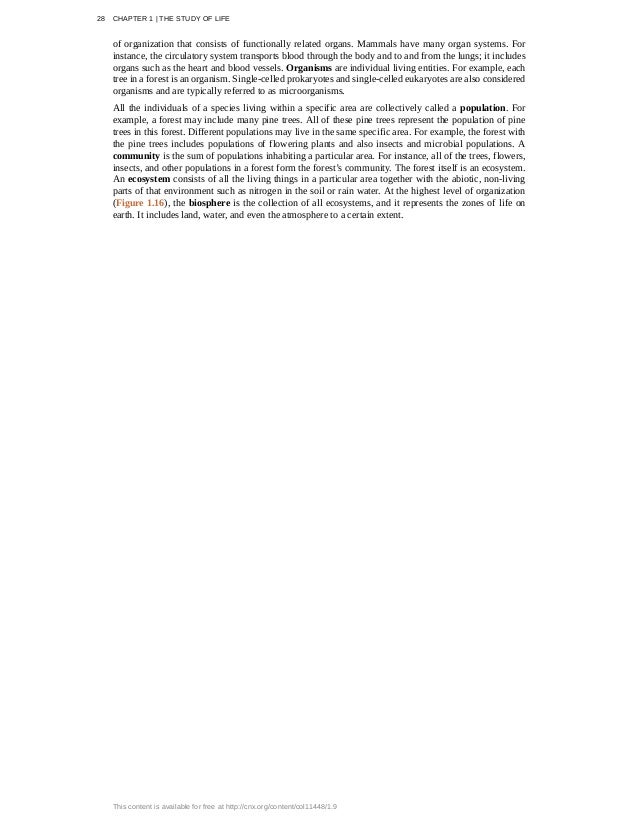 essay about my character traits free