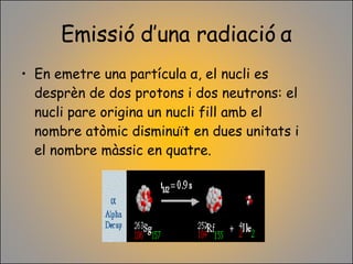 Emissió d’una radiació  α En emetre una partícula  α , el nucli es desprèn de dos protons i dos neutrons: el nucli pare origina un nucli fill amb el nombre atòmic disminuït en dues unitats i el nombre màssic en quatre. 