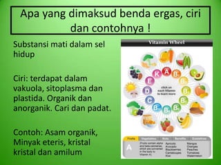 Apa yang dimaksud benda ergas, ciri
          dan contohnya !
Substansi mati dalam sel
hidup

Ciri: terdapat dalam
vakuola, sitoplasma dan
plastida. Organik dan
anorganik. Cari dan padat.

Contoh: Asam organik,
Minyak eteris, kristal
kristal dan amilum
 