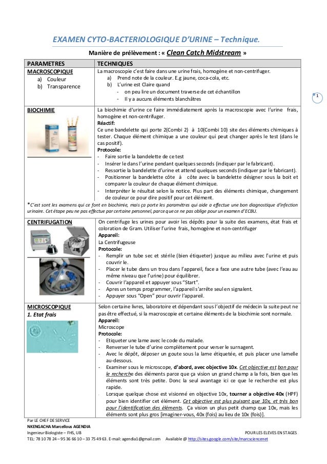 Ecbu A Technical Guide For Urine Analysis