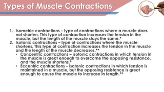 Types of Muscle Contractions
1. Isometric contractions – type of contractions where a muscle does
not shorten. This type of contraction increases the tension in the
muscle, but the length of the muscle stays the same.*
2. Isotonic contractions – type of contractions where the muscle
shortens. This type of contraction increases the tension in the muscle
and the length of the muscle decreases.**
• Concentric contractions – isotonic contractions in which tension in
the muscle is great enough to overcome the opposing resistance,
and the muscle shortens.*
• Eccentric contractions – isotonic contractions in which tension is
maintained in a muscle, but the opposing resistance is great
enough to cause the muscle to increase in length.**
 