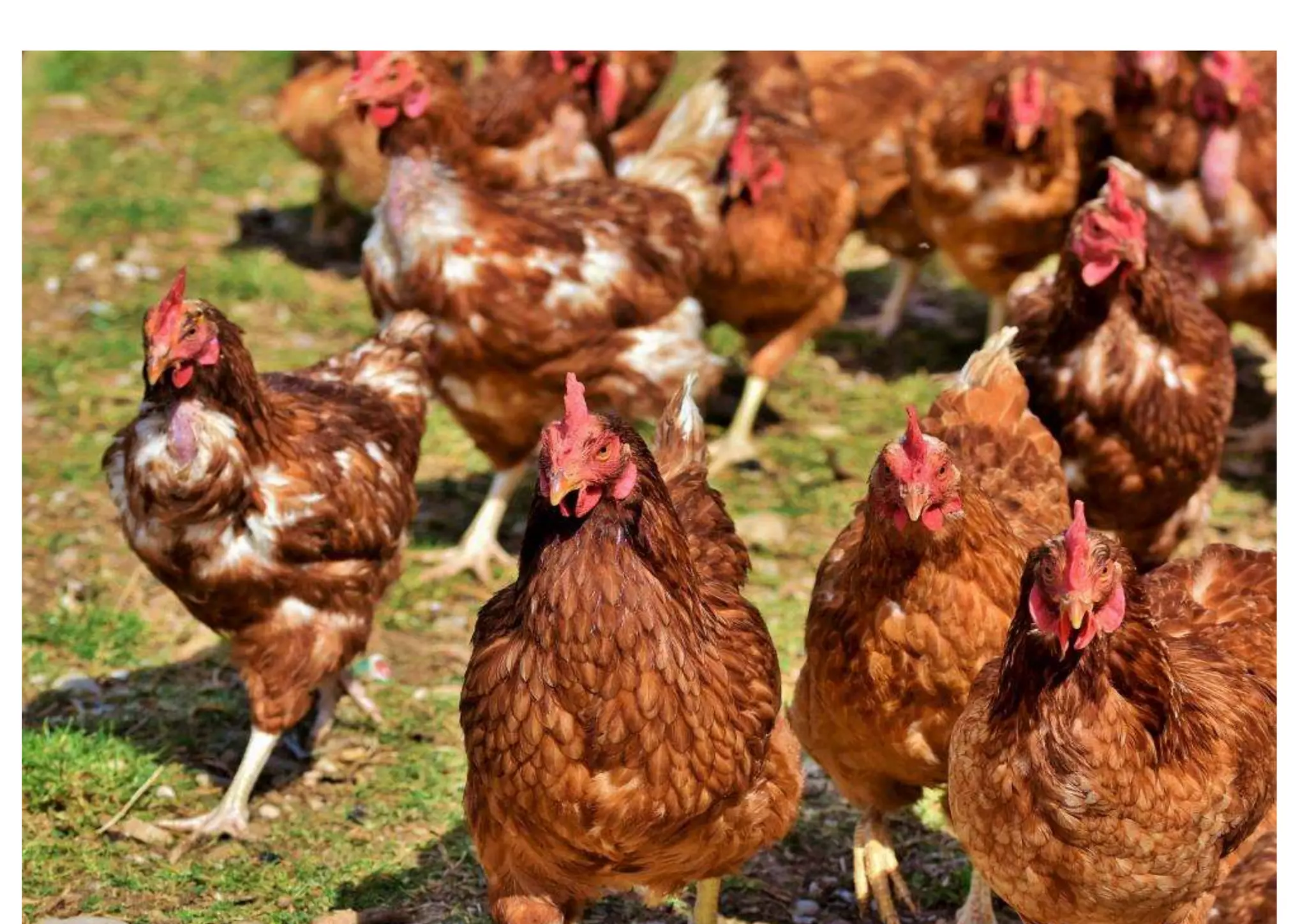 M5 patrones aditivos