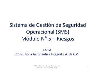 Clasificación: SGC
RO 1-JUN-2012
CAISA
Consultoría Aeronáutica Integral S.A. de C.V.
SMS Sist. Gestión de Seg. Operacional 5
Elaboro: EAQ R1 Junio 1, 2013
1
Sistema de Gestión de Seguridad
Operacional (SMS)
Módulo N° 5 – Riesgos
 