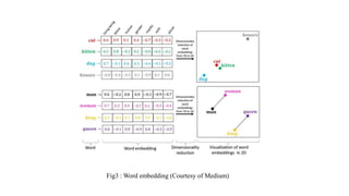 Fig3 : Word embedding (Courtesy of Medium)
 