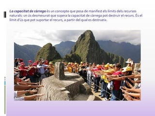 La capacitat de càrrega és un concepte que posa de manifest els límits dels recursos
naturals: un ús desmesurat que supera la capacitat de càrrega pot destruir el recurs. És el
límit d’ús que pot suportar el recurs, a partir del qual es destrueix.
 