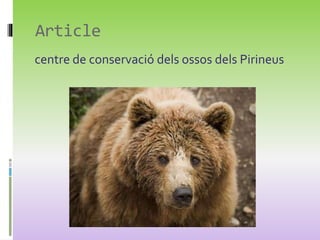 Article
centre de conservació dels ossos dels Pirineus
 