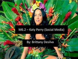 M6.2 – Katy Perry (Social Media)

By: Brittany Desilva

 