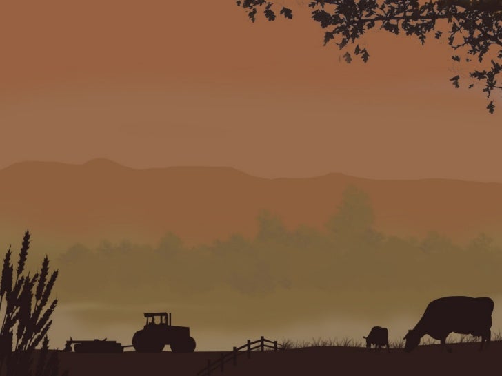 m62 farming power point template 03