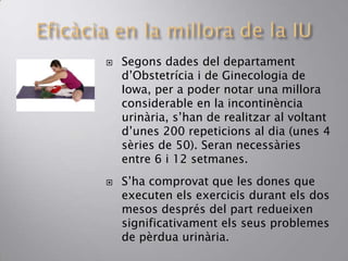  Segons dades del departament
d’Obstetrícia i de Ginecologia de
Iowa, per a poder notar una millora
considerable en la incontinència
urinària, s’han de realitzar al voltant
d’unes 200 repeticions al dia (unes 4
sèries de 50). Seran necessàries
entre 6 i 12 setmanes.
 S’ha comprovat que les dones que
executen els exercicis durant els dos
mesos després del part redueixen
significativament els seus problemes
de pèrdua urinària.
 
