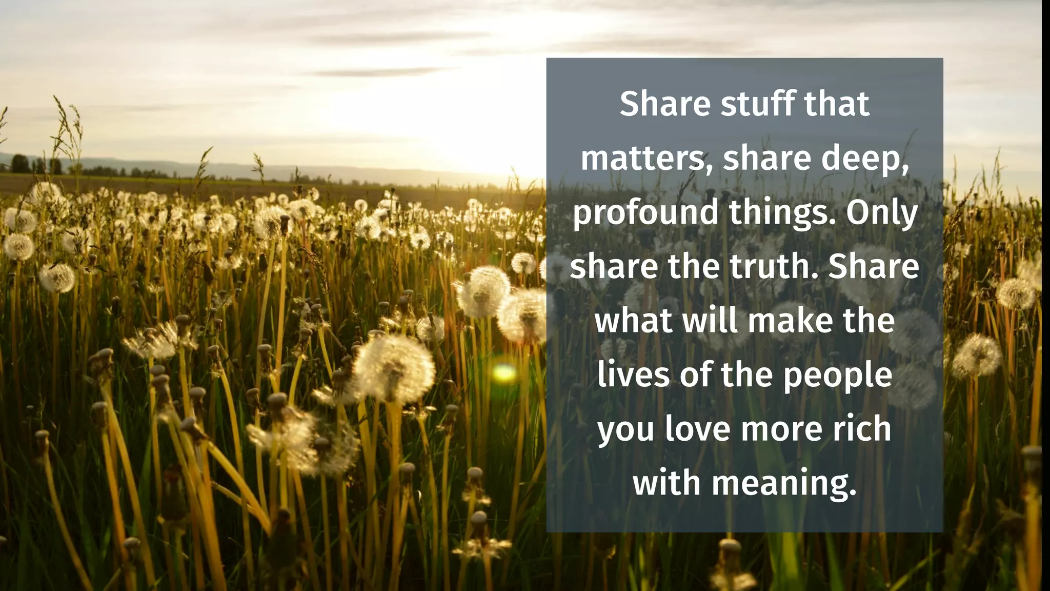 Share this deck:
facebook twitter
 