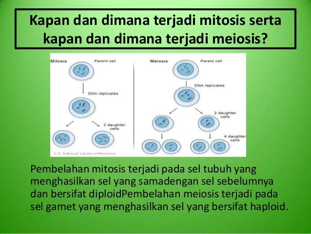 M6 kelompok 7 pembelahan sel M6 kelompok 7 pembelahan sel