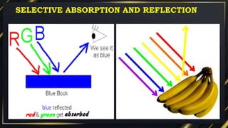 SELECTIVE ABSORPTION AND REFLECTION
 