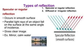 Types of reflection
Specular or regular
reflection
• Occurs in smooth surface
• Parallel light rays of an object fall
on the surface at the same angle
of incidence.
• Gives clear image
• Ex. Mirror, calm water
1. Specular or regular reflection
2. Diffused or irregular reflection
 