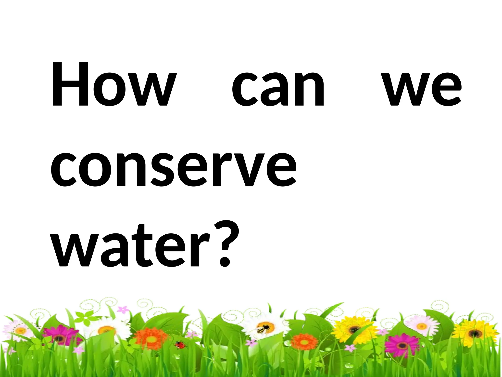 How can we
conserve
water?
 
