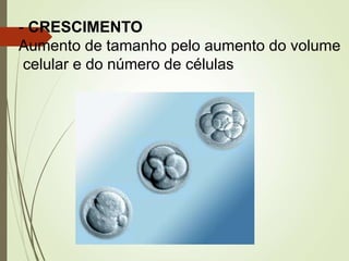 - CRESCIMENTO
Aumento de tamanho pelo aumento do volume
celular e do número de células
 