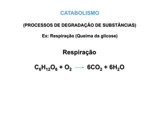 Respiração
C6H12O6 + O2 6CO2 + 6H2O
CATABOLISMO
(PROCESSOS DE DEGRADAÇÃO DE SUBSTÂNCIAS)
Ex: Respiração (Queima da glicose)
 