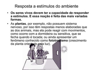 • Os seres vivos devem ter a capacidade de responder
a estímulos. E essa reação é feita das mais variadas
formas.
• As plantas, por exemplo, não possuem sistema
nervoso, por isso têm respostas menos elaboradas que
as dos animais, mas ela pode reagir com movimentos,
como ocorre com a dormideira ou sensitiva, que se
fecha quando é tocada; ou ainda apresentar um
fenômeno conhecido como fototropismo (crescimento
da planta orientado pela luz).
Resposta a estímulos do ambiente
 