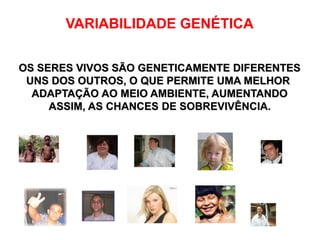 VARIABILIDADE GENÉTICA
OS SERES VIVOS SÃO GENETICAMENTE DIFERENTES
UNS DOS OUTROS, O QUE PERMITE UMA MELHOR
ADAPTAÇÃO AO MEIO AMBIENTE, AUMENTANDO
ASSIM, AS CHANCES DE SOBREVIVÊNCIA.
 