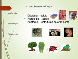 - Subdivisões da biologia
- Morfologia
- Embriologia
- Taxonomia
Citologia – célula
Histologia – tecido
Anatomia – estruturas do organismo
 