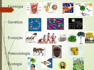 - Fisiologia
- Genética
- Evolução
- Paleontologia
- Ecologia
 