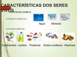 CARACTERÍSTICAS DOS SERES
VIVOS
- COMPOSIÇÃO QUÍMICA
Compostos inorgânicos –
Compostos orgânicos -
Água Minerais
Carboidratos Lipídios Proteínas Ácidos nucléicos Vitaminas
 