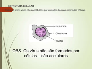 - ESTRUTURA CELULAR
Todos os seres vivos são constituídos por unidades básicas chamadas células.
Membrana
Citoplasma
Núcleo
OBS. Os vírus não são formados por
células – são acelulares
 