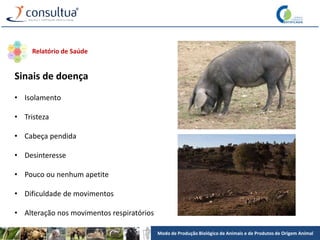 Modo de Produção Biológico de Animais e de Produtos de Origem Animal
Sinais de doença
• Isolamento
• Tristeza
• Cabeça pendida
• Desinteresse
• Pouco ou nenhum apetite
• Dificuldade de movimentos
• Alteração nos movimentos respiratórios
Relatório de Saúde
 