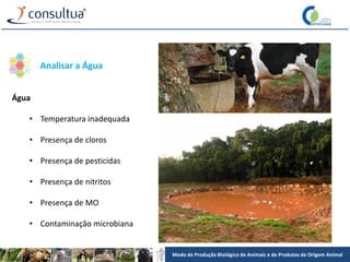 Modo de Produção Biológico de Animais e de Produtos de Origem Animal
Água
• Temperatura inadequada
• Presença de cloros
• Presença de pesticidas
• Presença de nitritos
• Presença de MO
• Contaminação microbiana
Analisar a Água
 