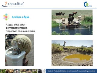 Modo de Produção Biológico de Animais e de Produtos de Origem Animal
A água deve estar
permanentemente
disponível para os animais.
Analisar a Água
 