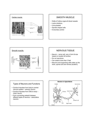 Muscle tissue and nervous tissues | PDF
