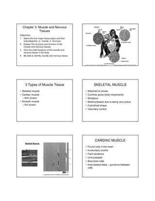 Chapter 3: Muscle and Nervous
Tissues
Objectives
1. Name the four major tissue types and their
subcategories. (c. muscle; d. nervous)
2. Explain the structure and function of the
muscle and nervous tissues.
3. Give the chief locations of the muscle and
nervous tissue in the body
4. Be able to identify muscle and nervous tissue.
•http://www.biology.eku.edu/RITCHISO/301notes3.htm
3 Types of Muscle Tissue
• Skeletal muscle
• Cardiac muscle
– Both striated
• Smooth muscle
– Not striated
SKELETAL MUSCLE
• Attached to bones
• Controls gross body movements
• Striations
• Multinucleated due to being very active
• Cylindrical shape
• Voluntary control
Skeletal Muscle:
CARDIAC MUSCLE
• Found only in the heart
• Involuntary control
• Faint striations
• Uninucleated
• Branched cells
• Intercalated disks – junctions between
cells
 
