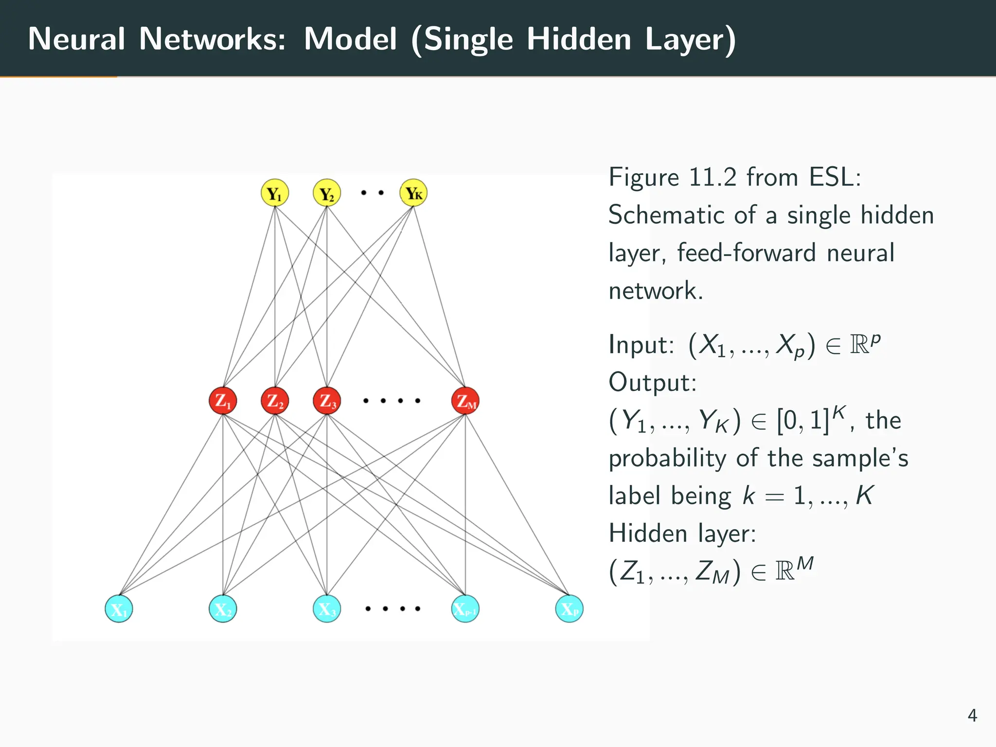 Neural Networks: Model (Single Hidden Layer)
Figure 11.2 from ESL:
Schematic of a single hidden
layer, feed-forward neural
network.
Input: (X1, ..., Xp) ∈ Rp
Output:
(Y1, ..., YK ) ∈ [0, 1]K
, the
probability of the sample’s
label being k = 1, ..., K
Hidden layer:
(Z1, ..., ZM ) ∈ RM
4
 