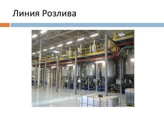 Линия Розлива 
 