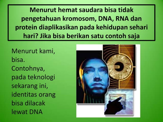 M7 kelompok 7 kromosom dna rna dan sintesis protein | PPT