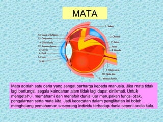 MATA 
Mata adalah satu deria yang sangat berharga kepada manusia. Jika mata tidak 
lagi berfungsi, segala keindahan alam tidak lagi dapat dinikmati. Untuk 
mengetahui, memahami dan menafsir dunia luar merupakan fungsi otak, 
pengalaman serta mata kita. Jadi kecacatan dalam penglihatan ini boleh 
menghalang pemahaman seseorang individu terhadap dunia seperti sedia kala. 
 