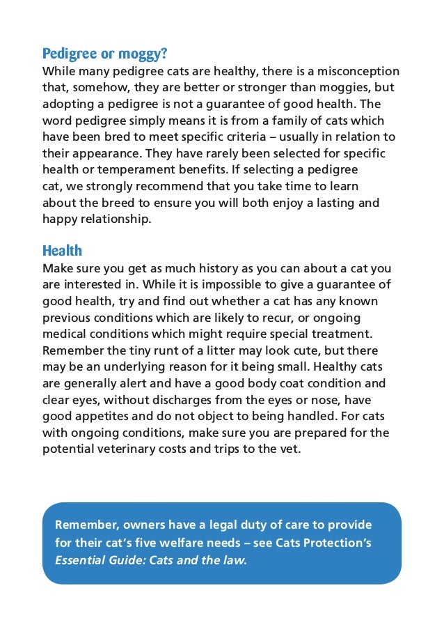 Eg01 Caring For Your Cat