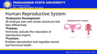 M7_understanding THE SEXUAL SELF123455678.pptx