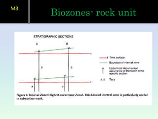 Biozones- rock unit
M8
 