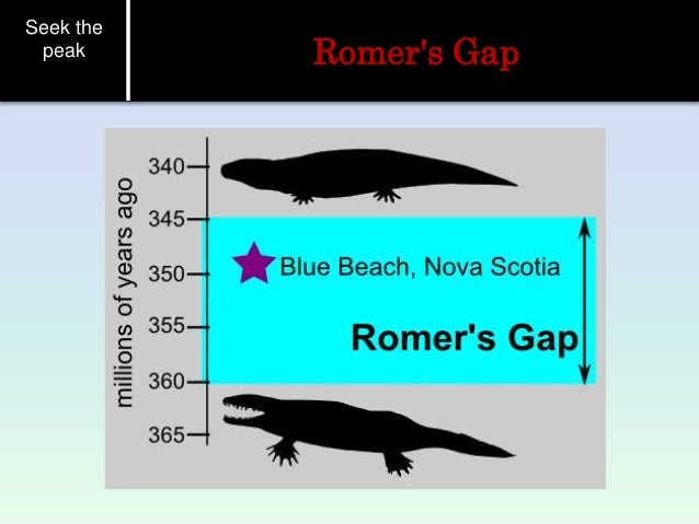 Fossil Record Paleontology Geo Science - 