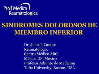 SINDROMES DOLOROSOS DE 
MIEMBRO INFERIOR 
Dr. Juan J. Canoso 
Reumatólogo, 
Centro Médico ABC 
México DF, México 
Profesor Adjunto de Medicina 
Tufts University, Boston, USA 
 