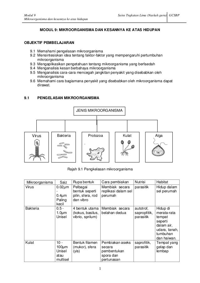 Soalan Kimia Tingkatan 4 - Terengganu q