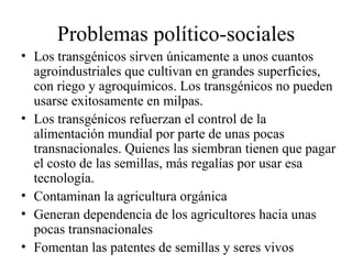 Problemas político-sociales
• Los transgénicos sirven únicamente a unos cuantos
  agroindustriales que cultivan en grandes superficies,
  con riego y agroquímicos. Los transgénicos no pueden
  usarse exitosamente en milpas.
• Los transgénicos refuerzan el control de la
  alimentación mundial por parte de unas pocas
  transnacionales. Quienes las siembran tienen que pagar
  el costo de las semillas, más regalías por usar esa
  tecnología.
• Contaminan la agricultura orgánica
• Generan dependencia de los agricultores hacia unas
  pocas transnacionales
• Fomentan las patentes de semillas y seres vivos
 