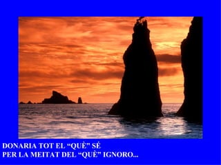 DONARIA TOT EL “QUÈ” SÉ  PER LA MEITAT DEL “QUÈ” IGNORO... 