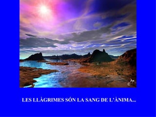 L E S LLÀGRIMES SÓN LA SANG DE L’ÀNIMA... 