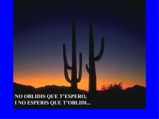 NO OBLIDIS QUE T’ESPERO,  I NO ESPERIS QUE T’OBLIDI... 