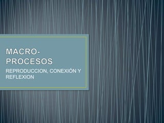 MACRO-PROCESOS REPRODUCCION, CONEXIÓN Y REFLEXION 