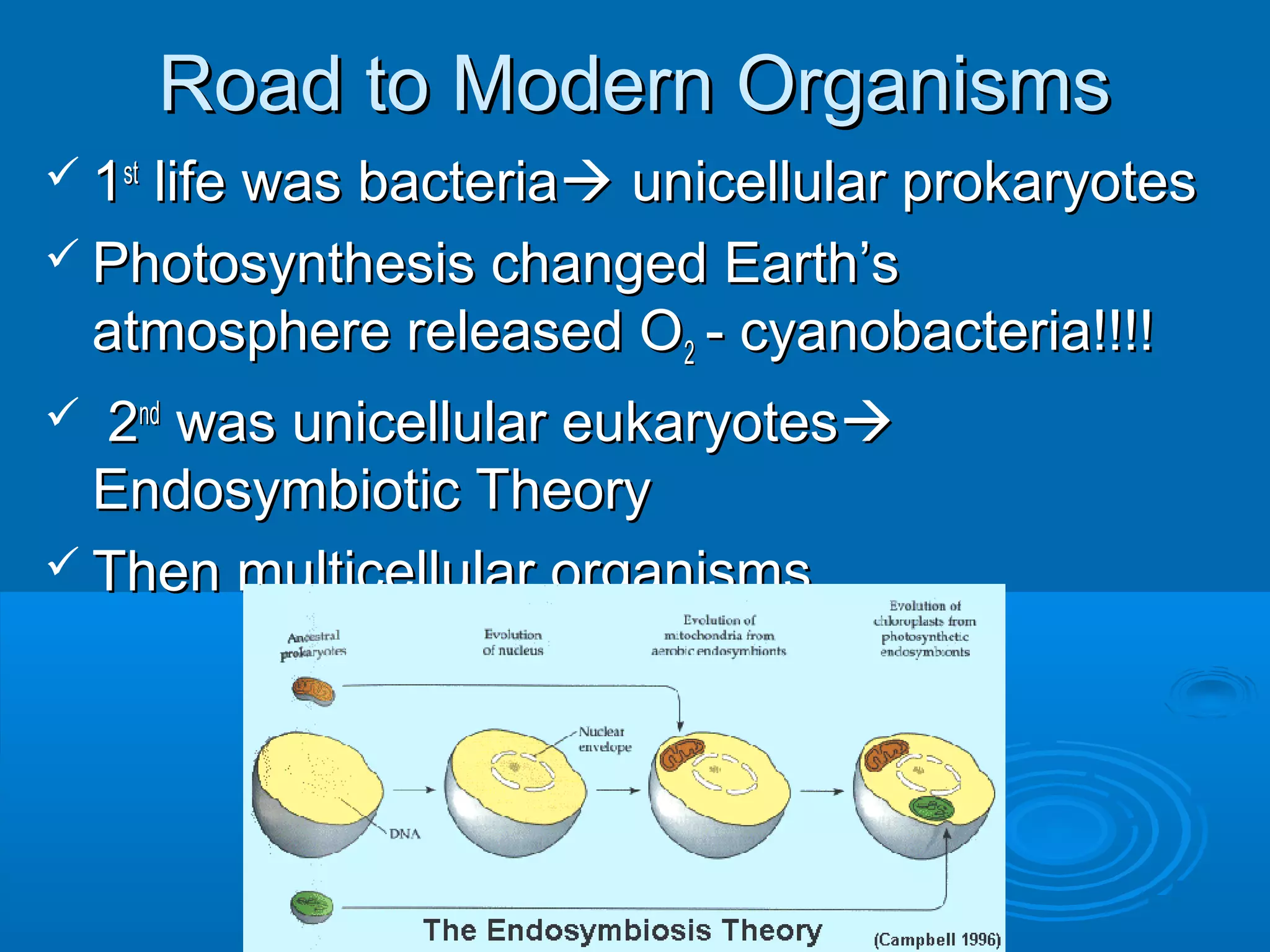 Road to Modern Organisms
 1st
    life was bacteria unicellular prokaryotes
 Photosynthesis changed Earth’s
  atmosphere released O2 - cyanobacteria!!!!
 2nd was unicellular eukaryotes
  Endosymbiotic Theory
 Then multicellular organisms
 